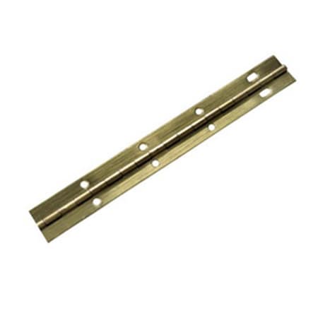 RPC-Terry Hinge 2x72 In. Continuous Hinge - Brass